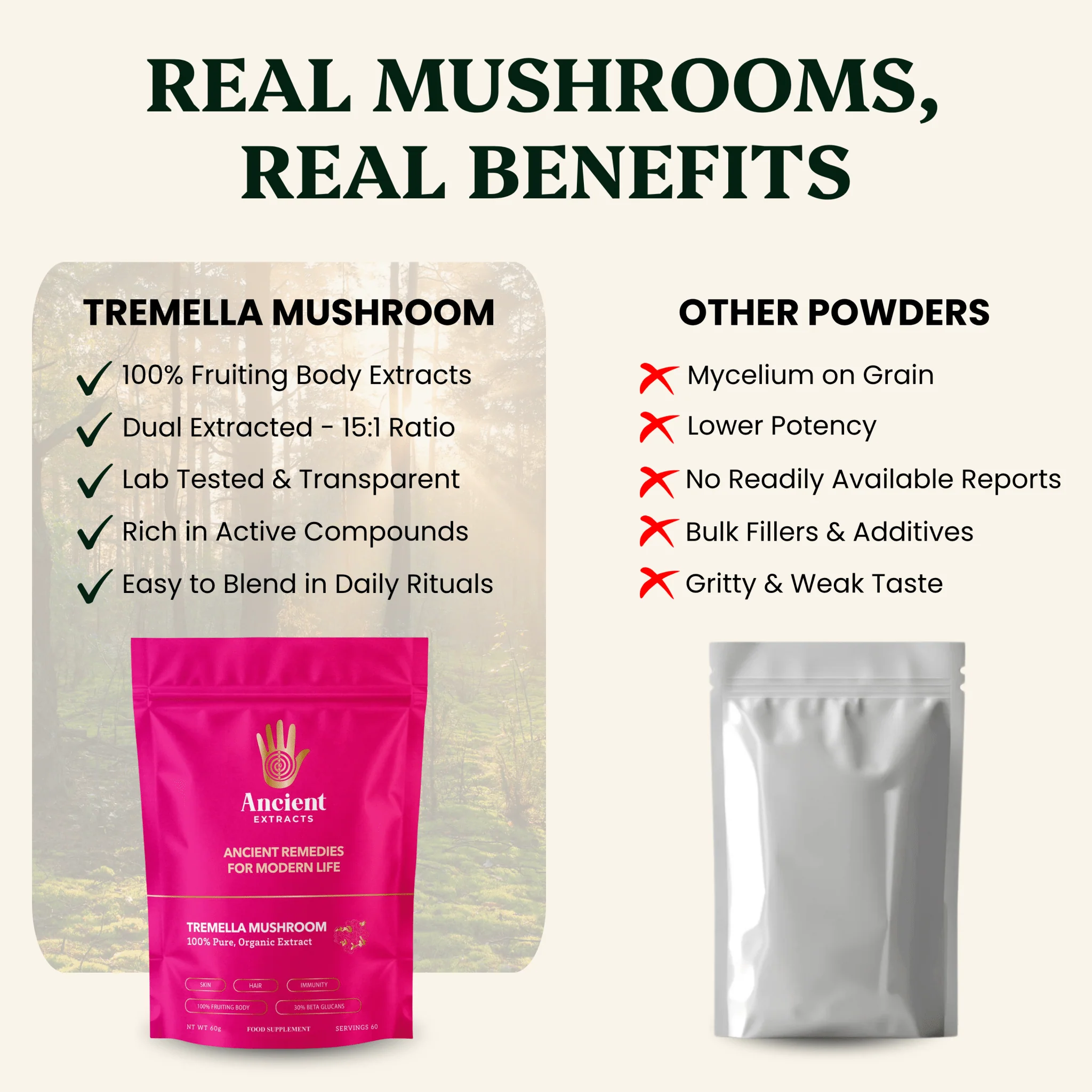 Beauty Pair Tremella & Chaga Mushroom Extracts - Image 3