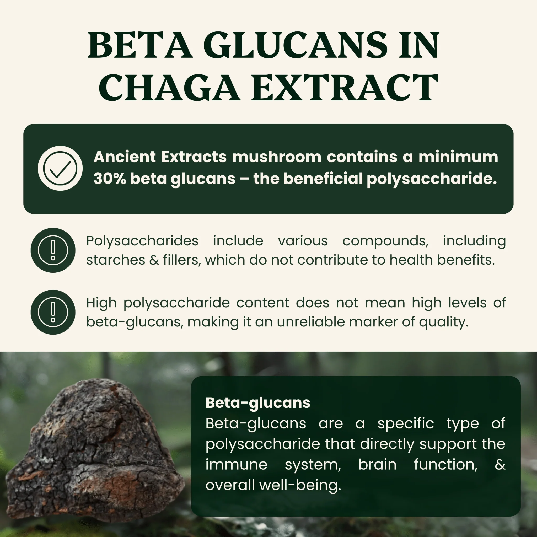 Energy Pair Cordyceps & Chaga Extracts - Image 7