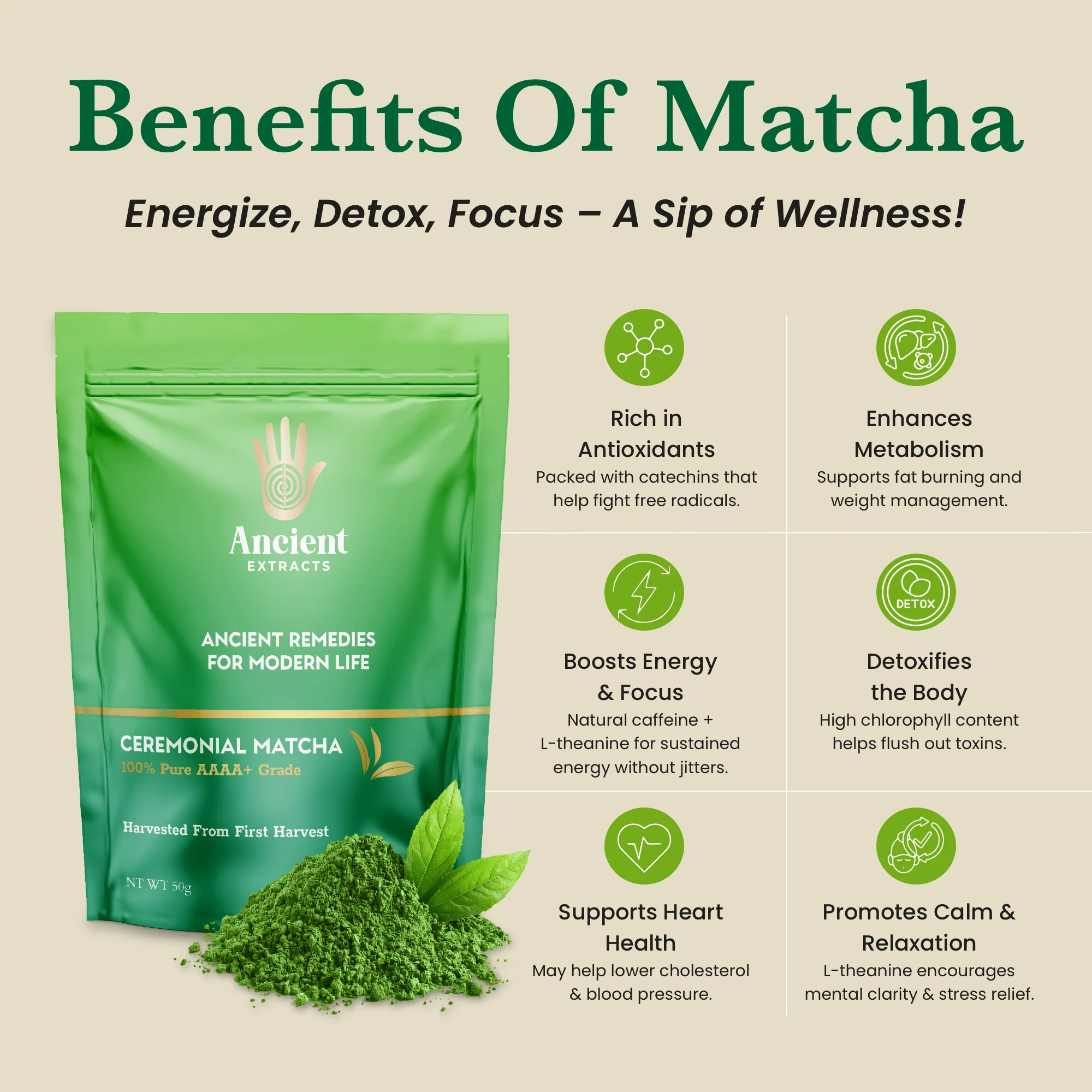 Ceremonial Pair - Matcha & Hojicha - Image 4