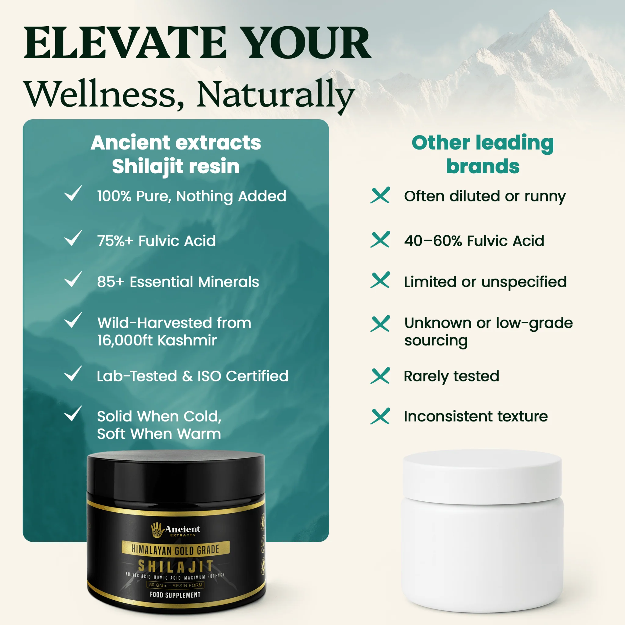 Detox Pair - Shilajit Resin & Reishi Mushroom Extract - Image 3