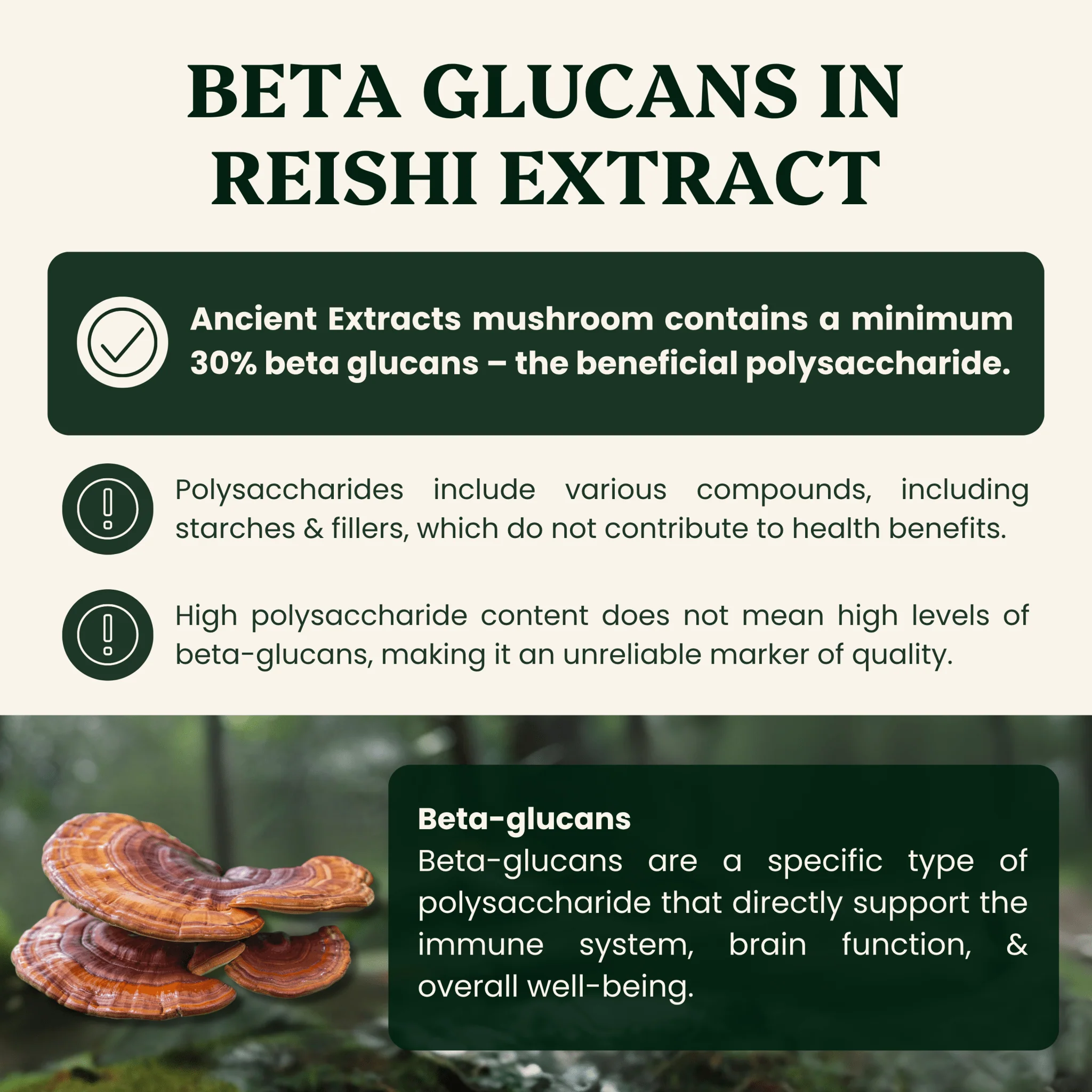 Detox Pair - Shilajit Resin & Reishi Mushroom Extract - Image 8