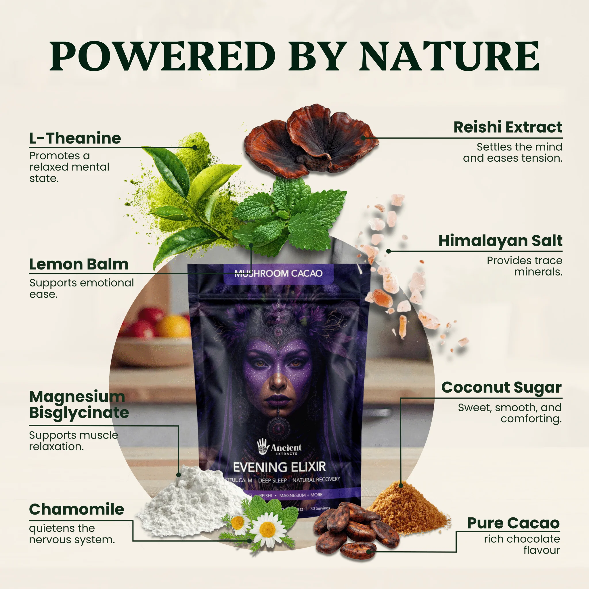 Evening Elixir Mushroom Cacao - Image 3