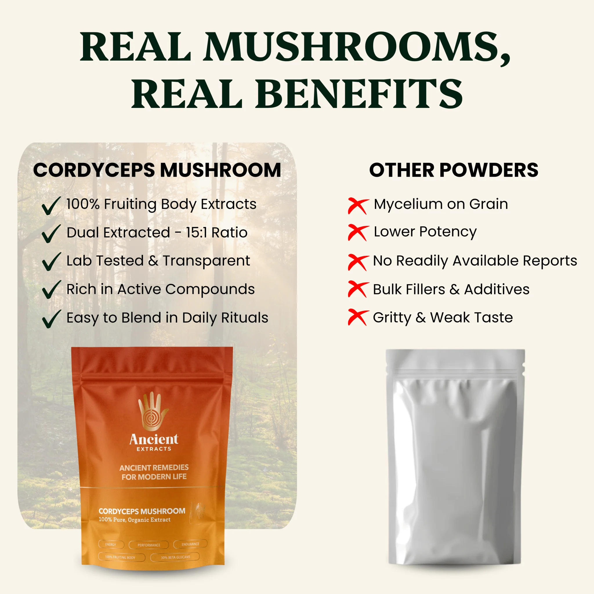Energy Pair Cordyceps & Chaga Extracts - Image 3