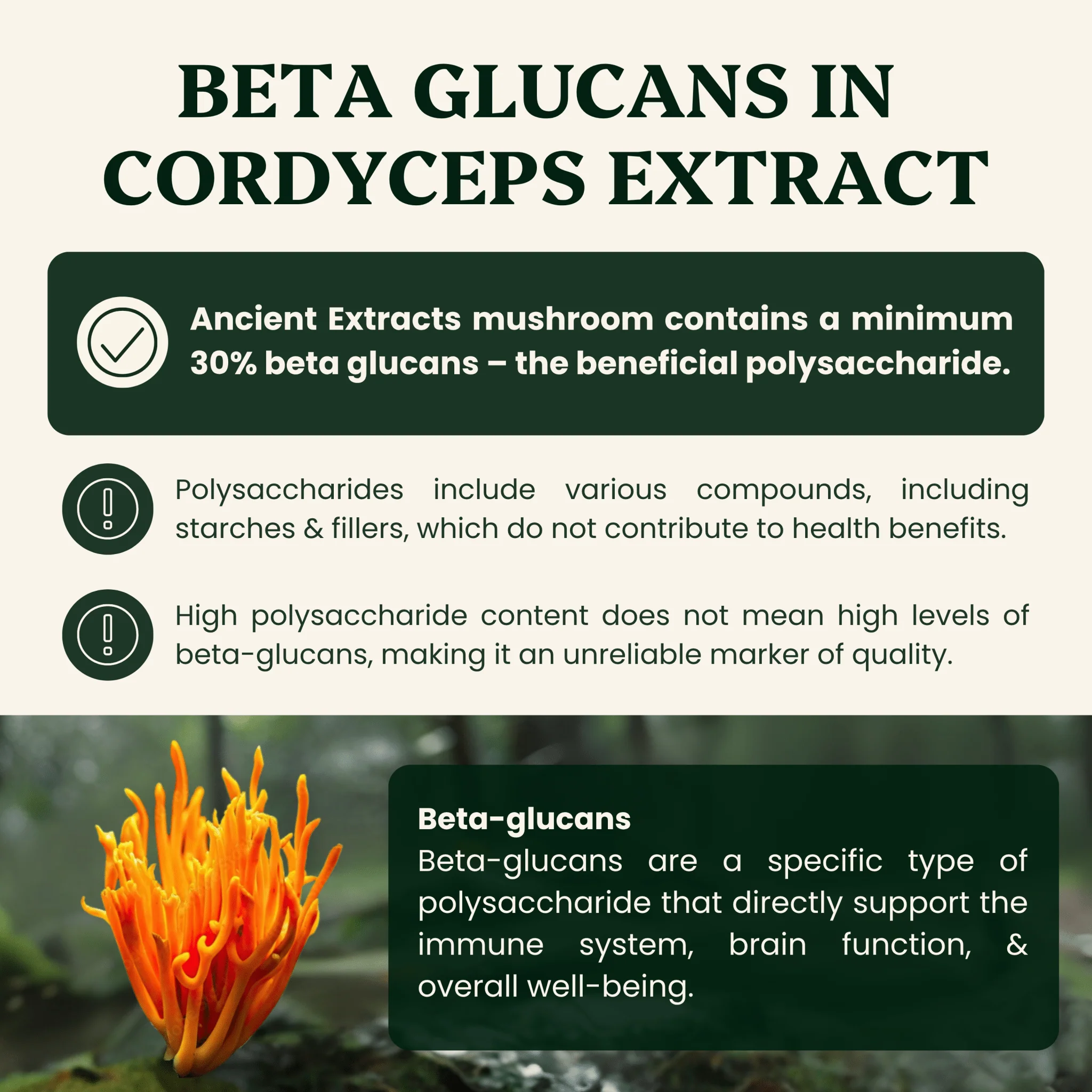 Hormone Pair Reishi & Cordyceps Extracts - Image 7