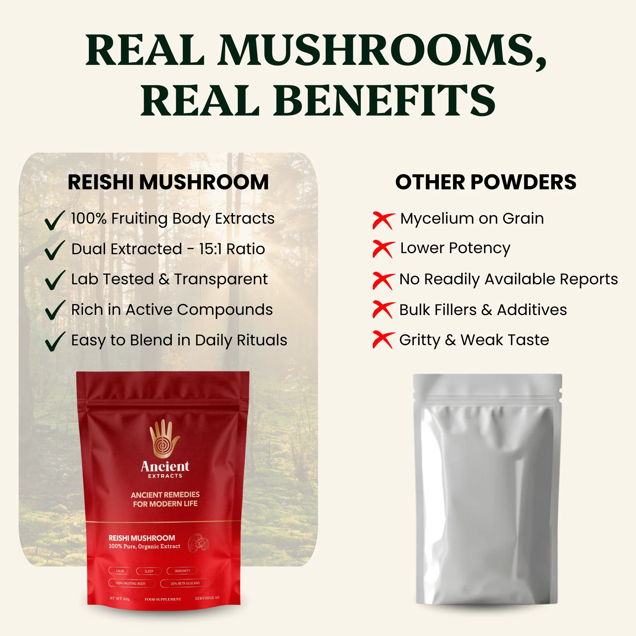 Mindful Pair Lion's Mane & Reishi Extracts - Image 3