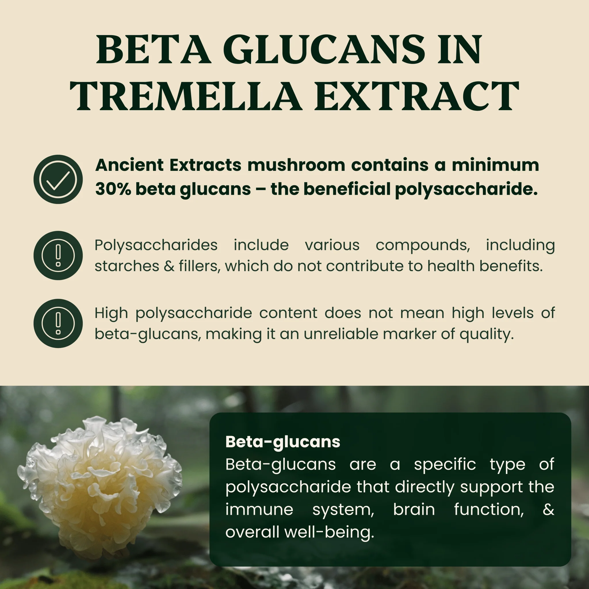 Tremella Mushroom Extract Powder - Image 3