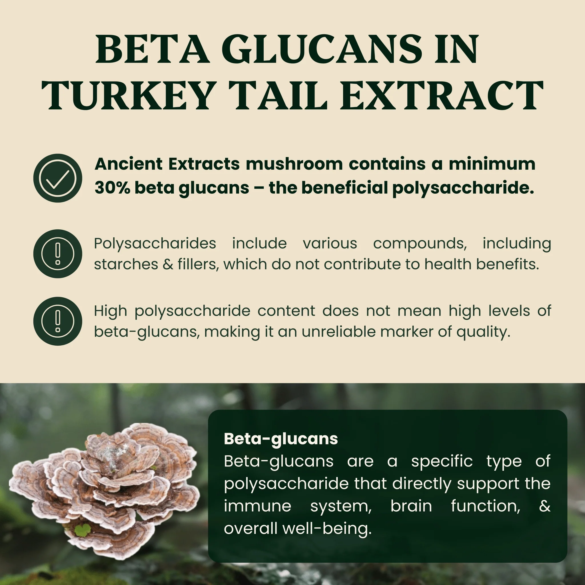 Turkey Tail Mushroom Extract - For Pets - Image 3